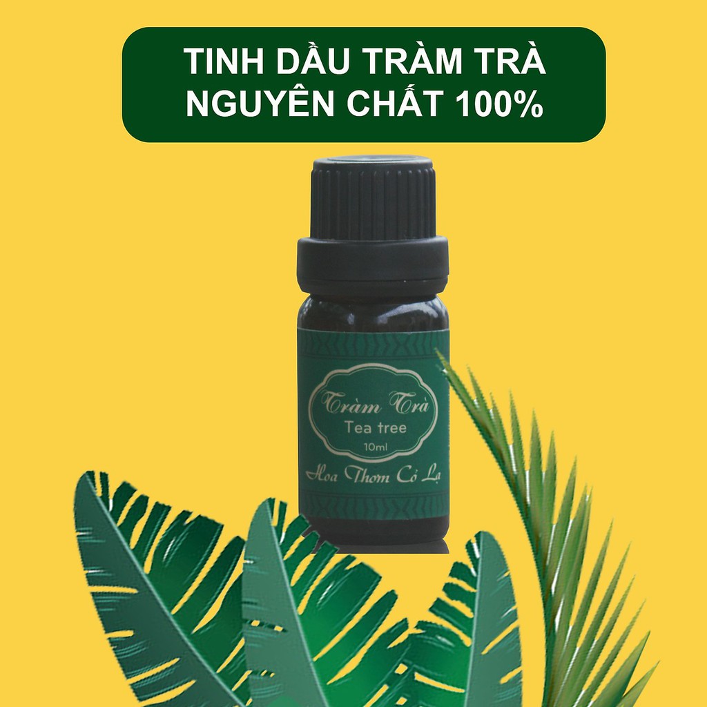 Tinh Dầu Tràm Trà Nguyên chất - Tea Tree Essential Oil - Hoa Thơm Cỏ Lạ