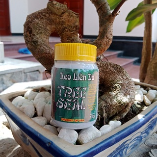 Keo Liền Da Cây Mỹ Tree Seal 100gram