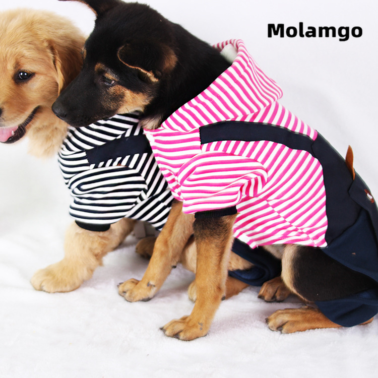 Áo kiểu MOLAMGO thiết kế gấu hoạt hình màu hồng/ xanh dương đáng yêu dành cho cún cưng