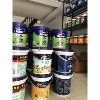 (Cây Lăn) CỌ LĂN SƠN VIỆT MỸ nhiều size lựa chọn