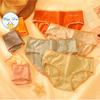 Quần Lót Cotton Cao Cấp Y Tế Kháng Khuẩn Co Dãn Bilyy Shop QL001