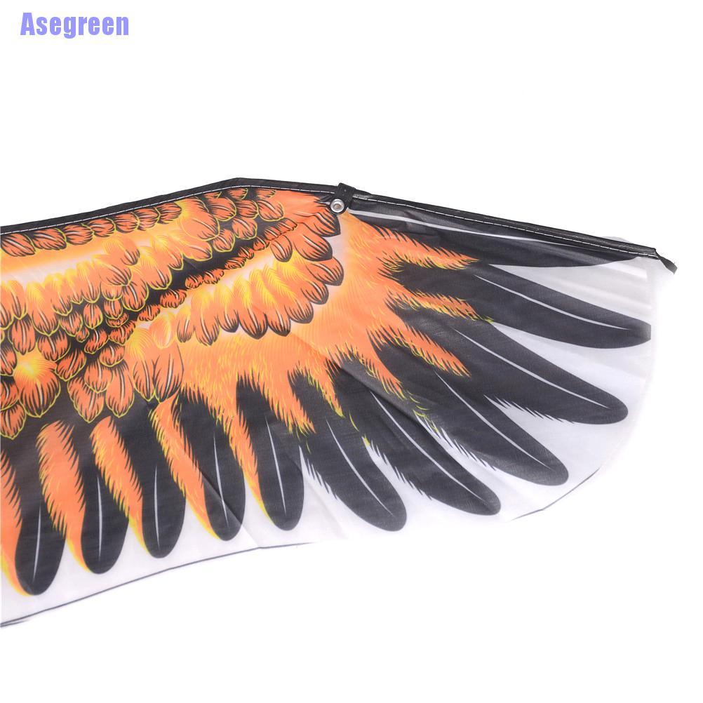 Chú Chim Đại Bàng Cỡ Lớn Độc Đáo