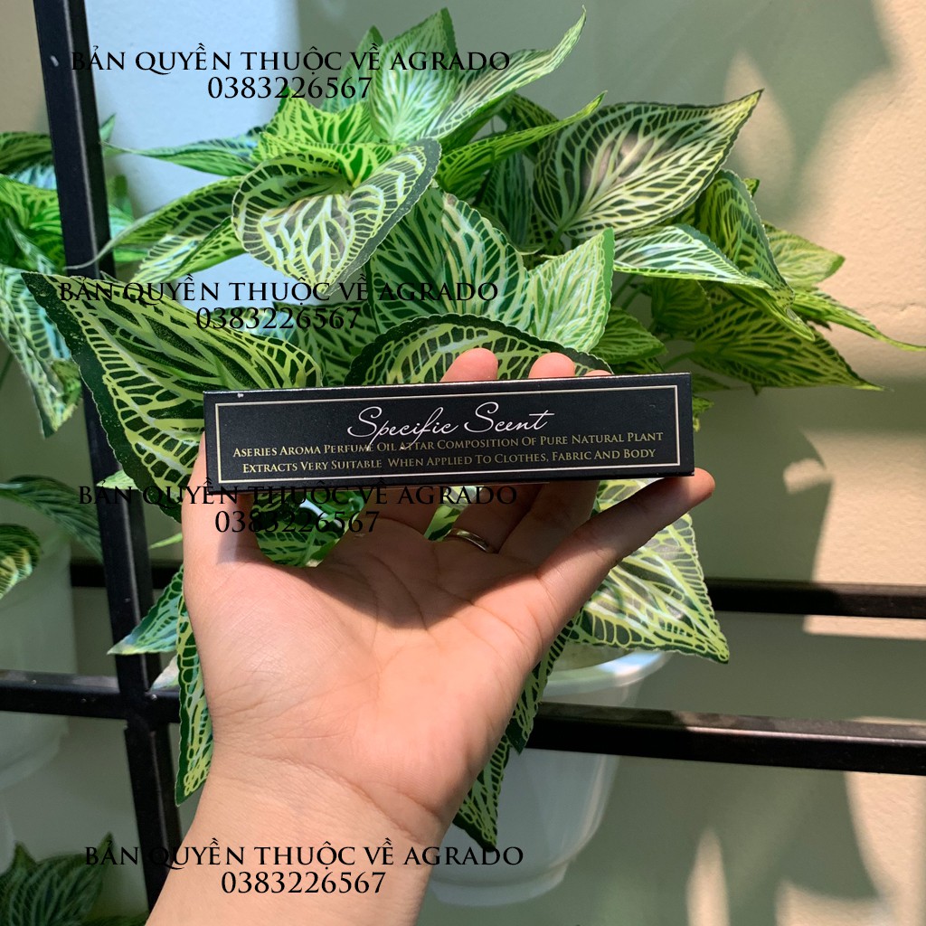 Tinh dầu nước hoa pháp Tresor Midnight Rose Mẫu Mới