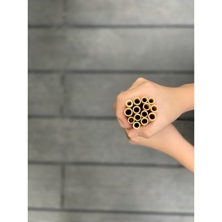 Ống hút tre VIECO
