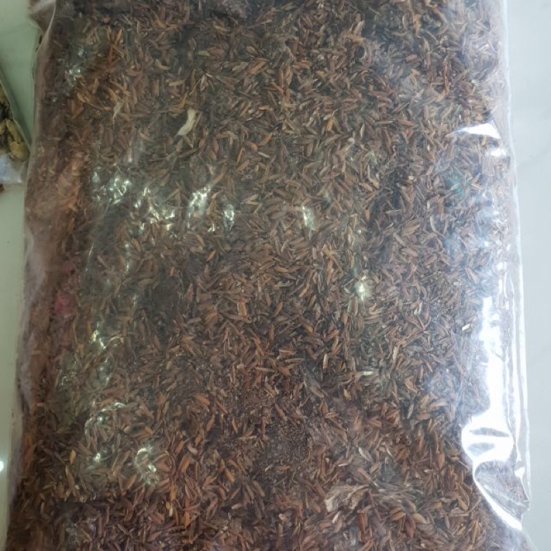 PHÂN GÀ Ủ TRẤU-Tơi xốp, có mùi nồng hăng- giúp ngọt trái, đậm lá, hoa thơm