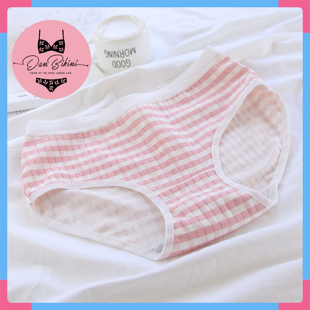 Quần Lót Nữ - Quần Lót Nữ Cotton gân tăm hình dâu tây kháng khuẩn mềm mại DAN STORE Mã 671