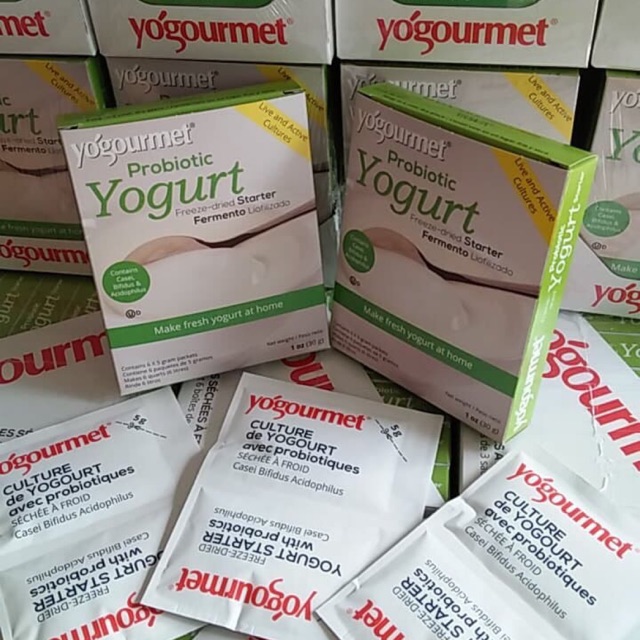 Men làm sữa chua Probiotic