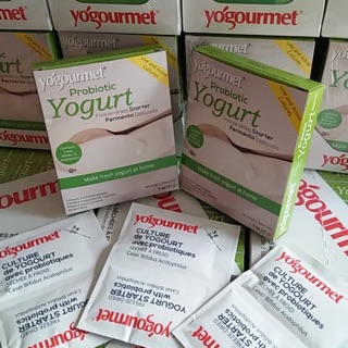Men làm sữa chua Probiotic