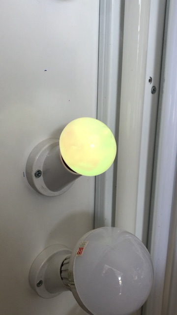 Bóng đèn led trái đào đổi màu Hoà Thái