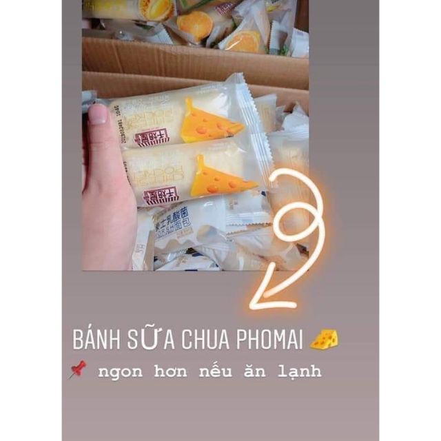 [Combo 5 bánh] Bánh Sữa Chua Phô Mai 50gam【Báchhóa24h】