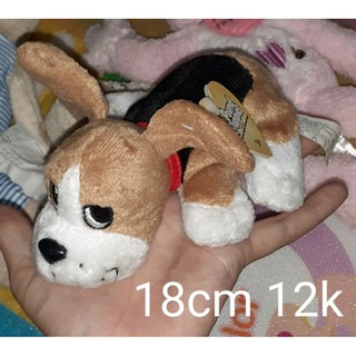 Gấu bông chó nhí y ảnh 18cm mới trên 95%
