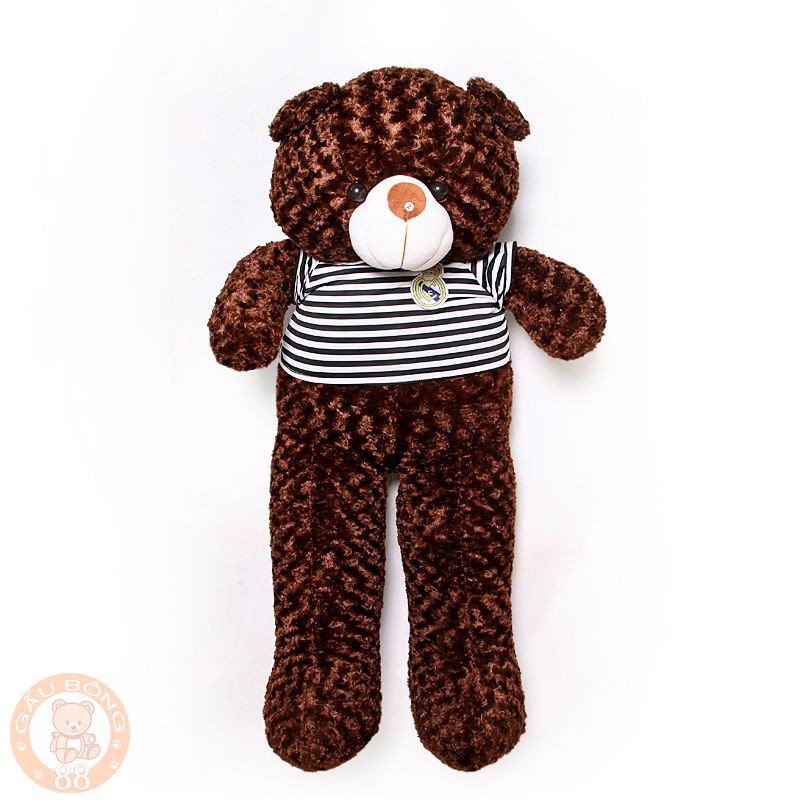 (Free ship toàn quốc ) Gấu Bông Teddy Khổ vải 1m4 cao 1m2 Hàng cao cấp