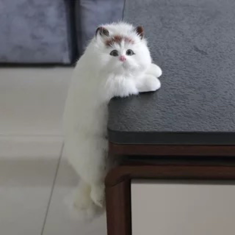 SẴN - MÈO BÔNG DÁNG TRÈO LEO TINH NGHỊCH ĐÁNG YÊU, QUÀ TẶNG ĐỒ CHƠI AN TOÀN CHO BÉ YÊU