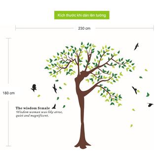 [RẺ VÔ ĐỊCH] Decal dán tường cao cấp - DC019