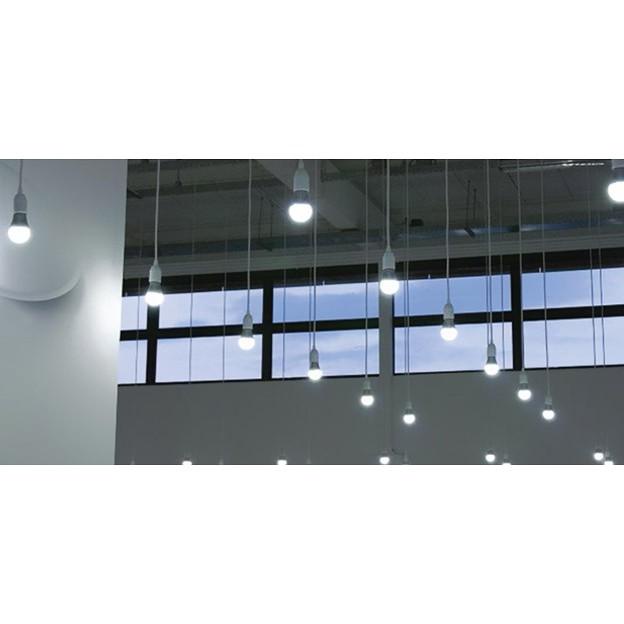RẠNG ĐÔNG, BH 2 năm, Bóng đèn led búp tròn 3W đến 20W E27 siêu sáng hàng Việt Nam - Chất lượng cao