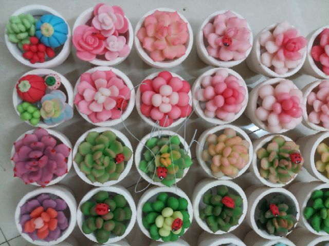 Sen đá chậu 5cm mẫu tháng 7