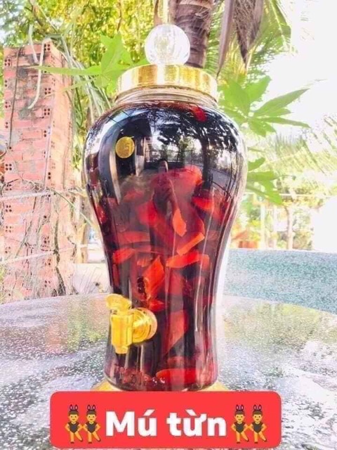 Rễ Mú Từn- 1kg Chuẩn Rễ! ảnh chính chủ! | BigBuy360 - bigbuy360.vn