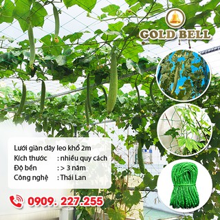 Lưới giàn dây leo Gold Bell (Chuông Vàng) khổ 2m nhiều quy cách