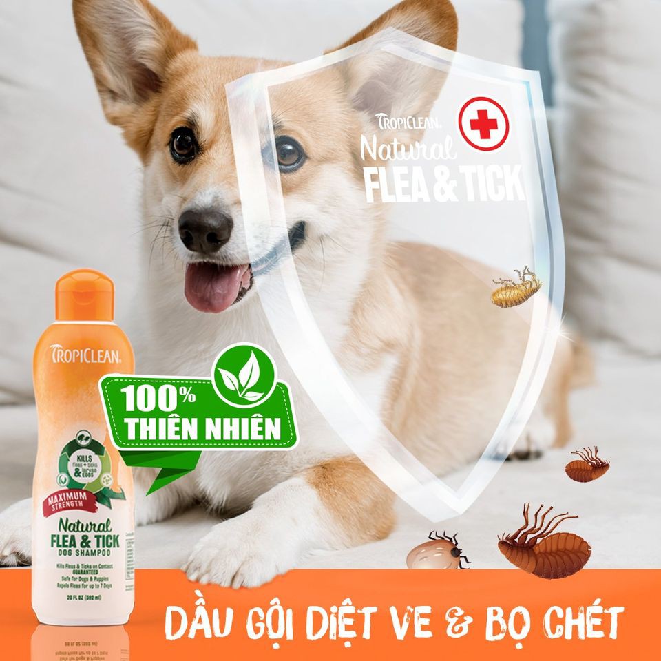 Sữa tắm thiên nhiên phòng và trị ve rận bọ chét cho Chó TropiClean Natural Kill Fleas Flea & Ticks 592ml