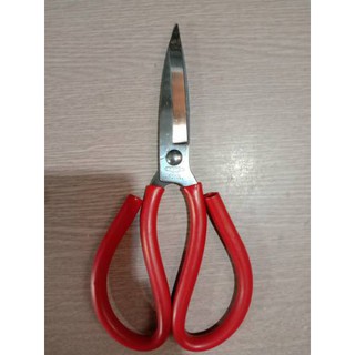 Kéo cắt thịt gà, cá, vải...dài 24cm, hàng rất dày và khỏe, bằng inox