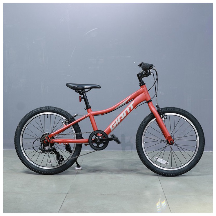 Xe đạp địa hình trẻ em Youth Giant XTC JR 20 Lite - 2021