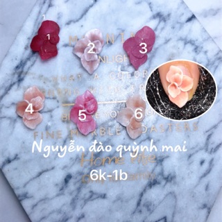 Hoa hồng nằm