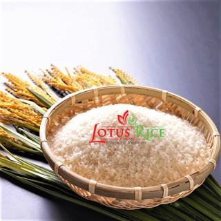 Gạo nhật sushi