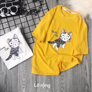 Áo thun tay lỡ mèo cát