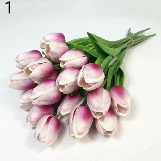 hoa chưng tết