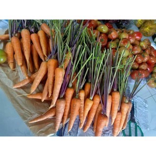 3 kg Cà rốt Đà Lạt