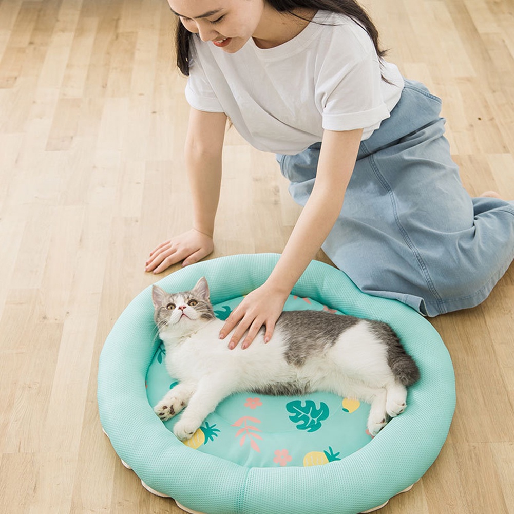 TD Làm mát mùa hè cho thú cưng Ice Pad Cún con ngủ giường Chăn chó mèo Ghế sofa cắm trại có thể ăn được Thảm yoga E