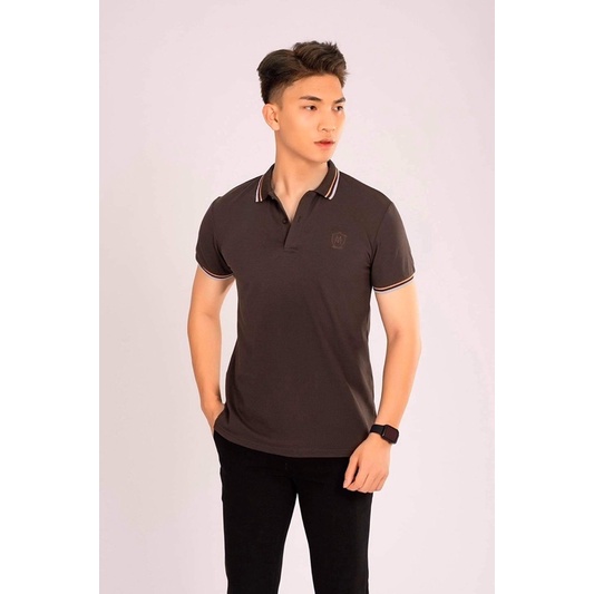 Áo polo nam đẹp trơn áo phông thun chất cotton đẹp có cổ hàng cao cấp 2 màu masimoduti