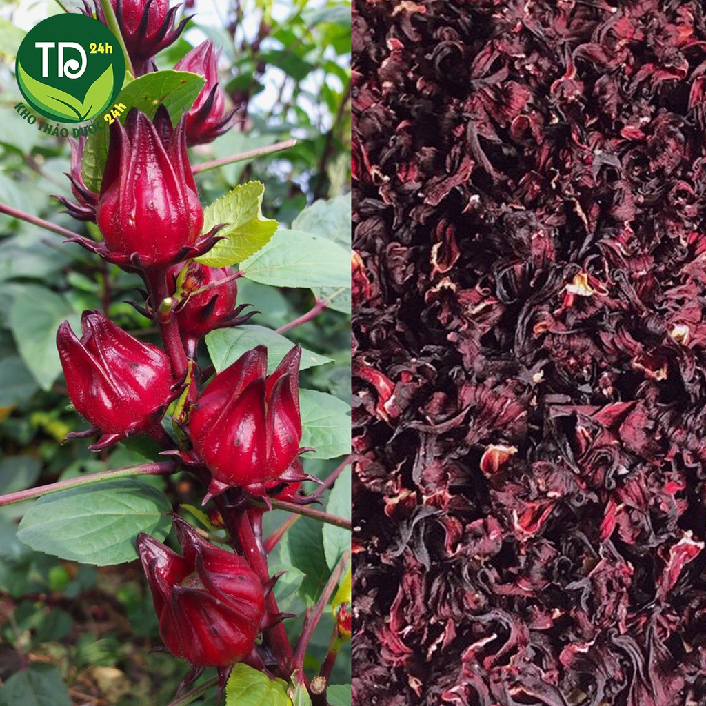 Hoa Atiso đỏ khô (Hoa bụp giấm/Hoa Hibiscus) [100 gram] I Kho Thảo Dược 24h