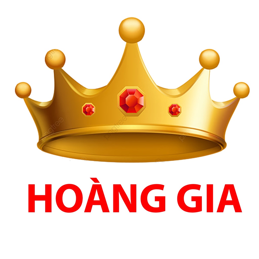 HOÀNG GIA AUTO (ĐỒ CHƠI VIỆT), Cửa hàng trực tuyến | BigBuy360 - bigbuy360.vn