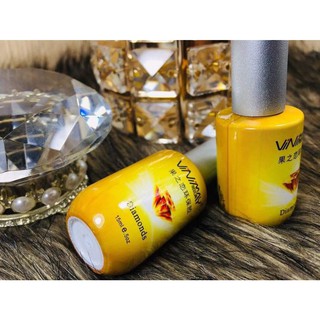 Top cường lực vinimay