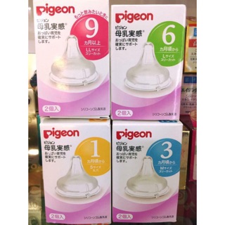 Núm ti pigeon nội địa nhật