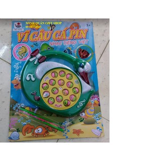 VĨ CÂU CÁ PIN