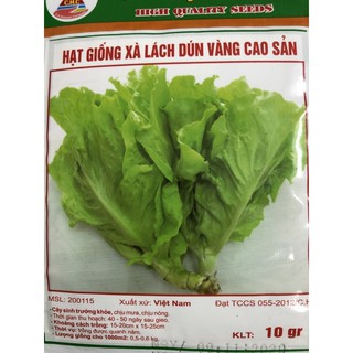 Hạt giống Rau xà lách 🌱