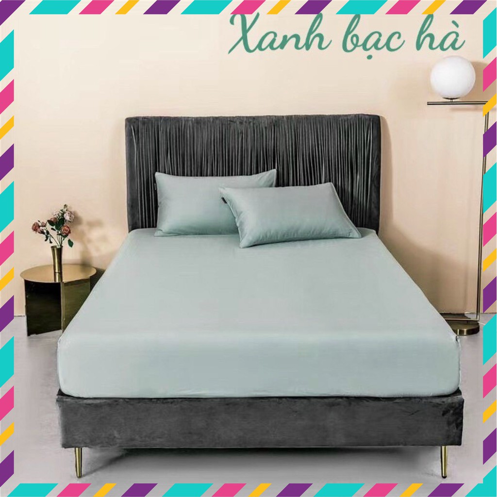 [ Hàng Nhập Khẩu ] Bộ Ga Gối Cotton Lụa Trơn 60S 1 Màu Cao Cấp, Mềm Mịn