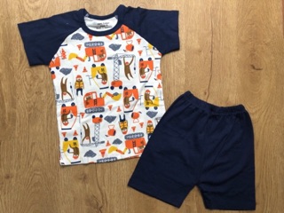 Set 4b carter