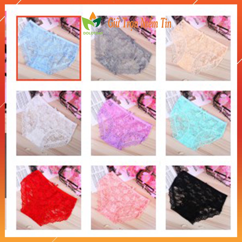 COMBO 5 Quần lót ren gợi cảm sexy siêu mỏng xuyên thấu nhiều màu LOTNU16