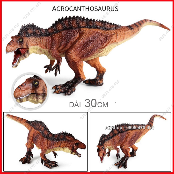 Mô Hình Khủng Long Ăn Thịt Acrocanthosaurus - 7716.1