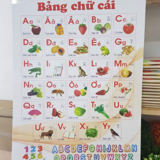 Bảng chữ cái lò xo (12 chủ đề)