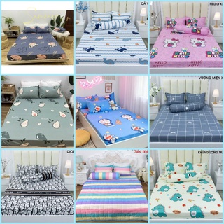 Bộ ga giường và vỏ gối Cotton Poly - Decor phòng ngủ với ga giường cotton siêu đẹp