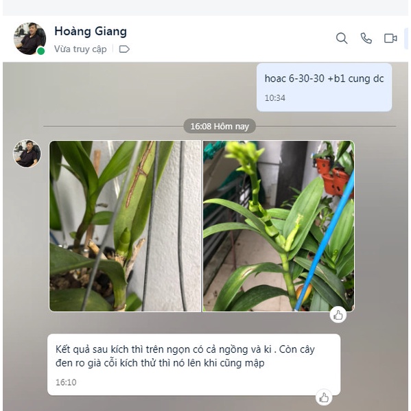 Chế Phẩm Kích Hoa NND 10ml