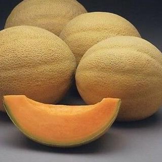 Hạt giống dưa lưới vàng đài loan 10 hạt