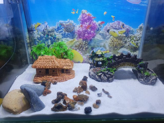 COMBO BỂ CÁ TRANG TRÍ SẴN NHÀ 29X18X18CM