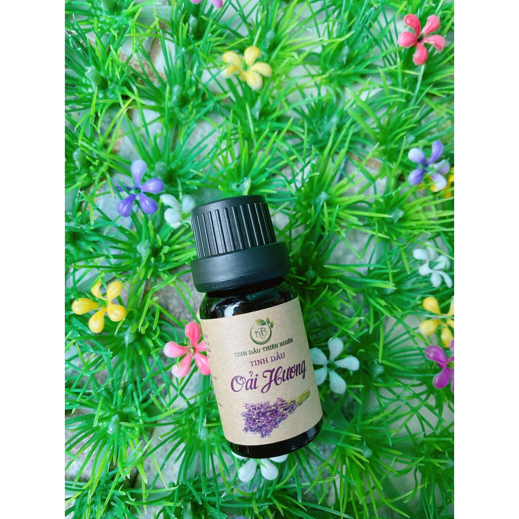 Tinh Dầu Thiên Nhiên Hoa Lavender Giúp Thư Giãn, Dễ Ngủ, Xua Đuổi Côn Trùng