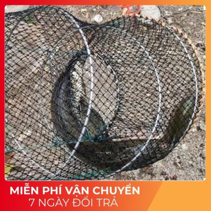 Lồng Lò Xo Dùng Bẫy Tôm, Cua, Cá, Lương Trạch
