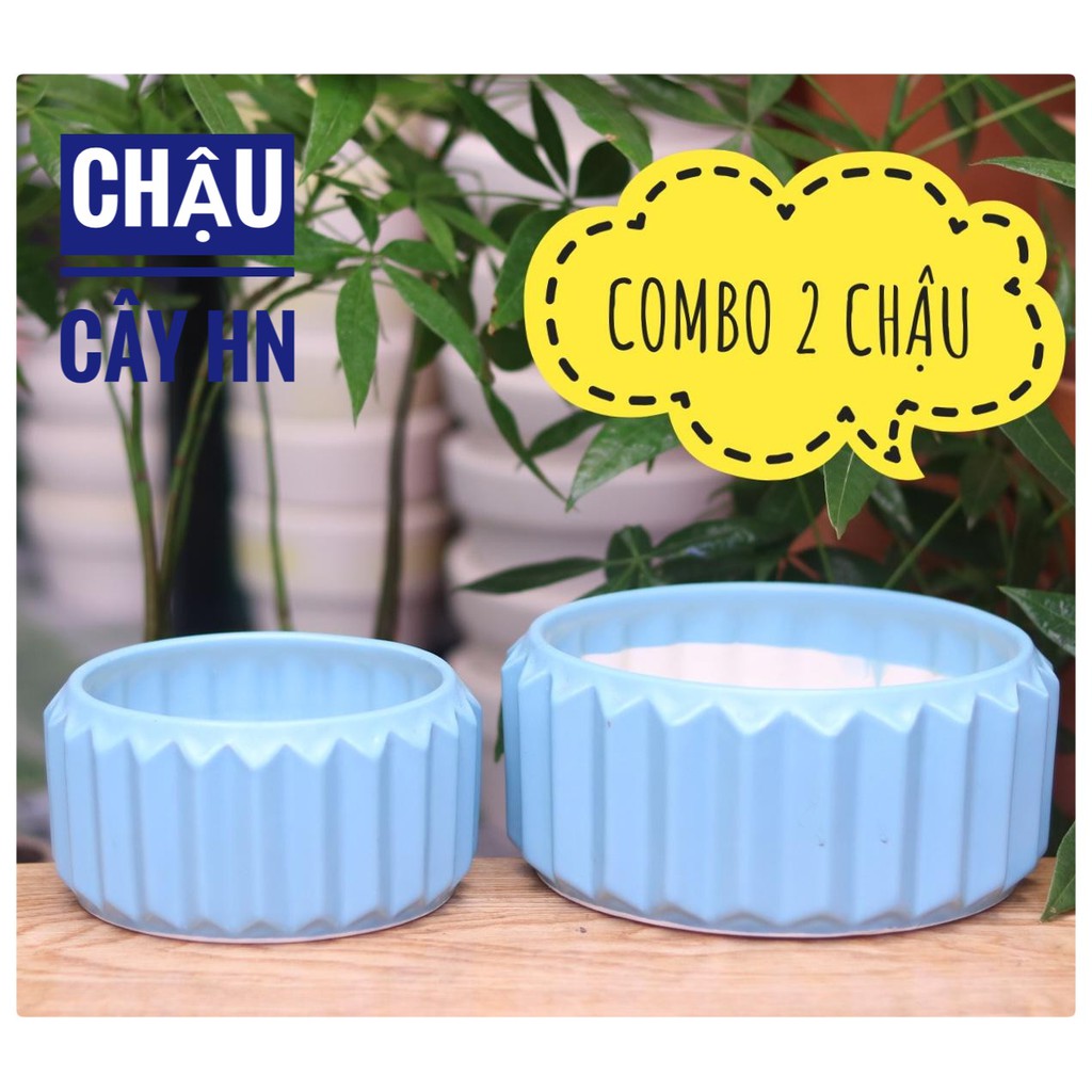 Chậu sứ Bát Tràng Hình Khía cạnh cao trồng cây Để Bàn size Trung Cây Nội Thất, Sen Đá, Xương rồng, Cây Bon sai